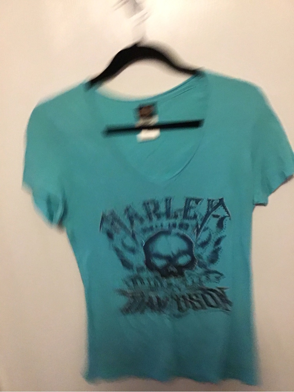 Harley-Davidson Teal Short-Sleeve V-Neck Skull Graphic Tee